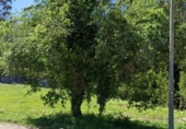 Land suitable for development for sale on España, O Pazo de Meis, ref: TR116870 photo