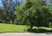Land suitable for development for sale on España, O Pazo de Meis, ref: TR116870 photo
