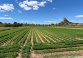 Suelo urbano en venta en la España, Murcia, ref: TR403300 foto