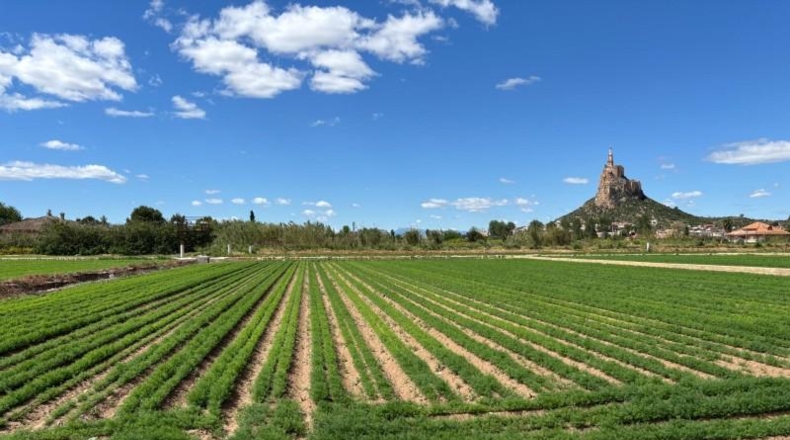 Múrcia - Murcia - 2213m2