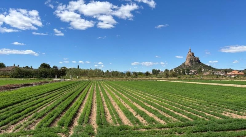 Múrcia - Murcia - 2213m2