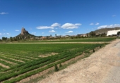 Suelo urbano en venta en la España, Murcia, ref: TR403300 foto