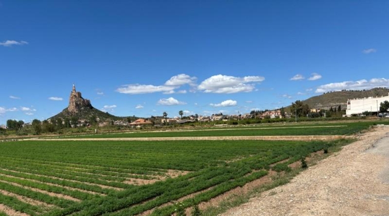 Múrcia - Murcia - 2213m2