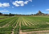 Suelo urbano en venta en la España, Murcia, ref: TR403300 foto