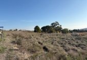 Terreny no urbanitzable en venda a la España, Alacant, ref.: TR181144 foto