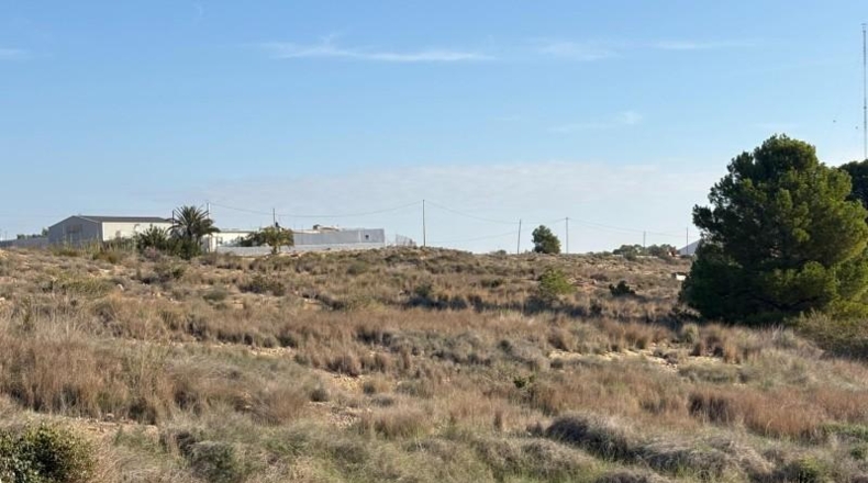Alicante - Alicante - 14000m2