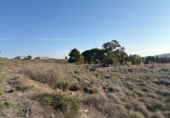 Terreny no urbanitzable en venda a la España, Alacant, ref.: TR181144 foto