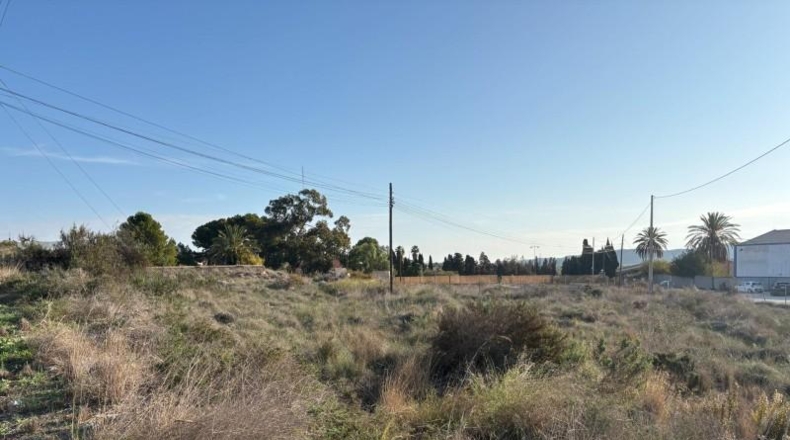 Alicante - Alicante - 14000m2