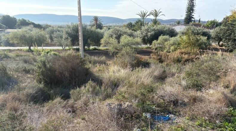 Alicante - Alicante - 14000m2
