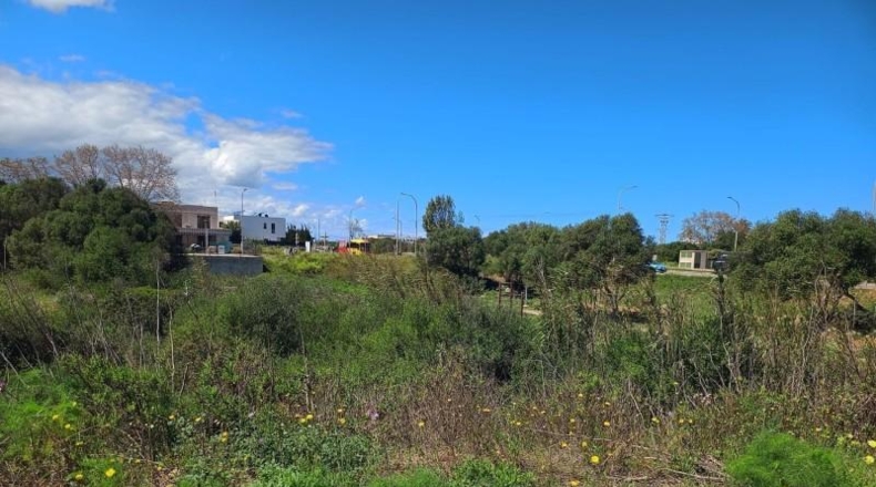 Balearic Islands - Mahón - 162m2