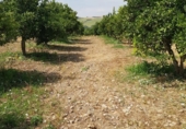 Terreno no urbanizable en venta en la España, Arcos de la Frontera, ref: TR237928 foto