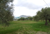 Xalet independent amb terreny en venda a la España, Alhaurín el Grande, ref.: TR318753 foto