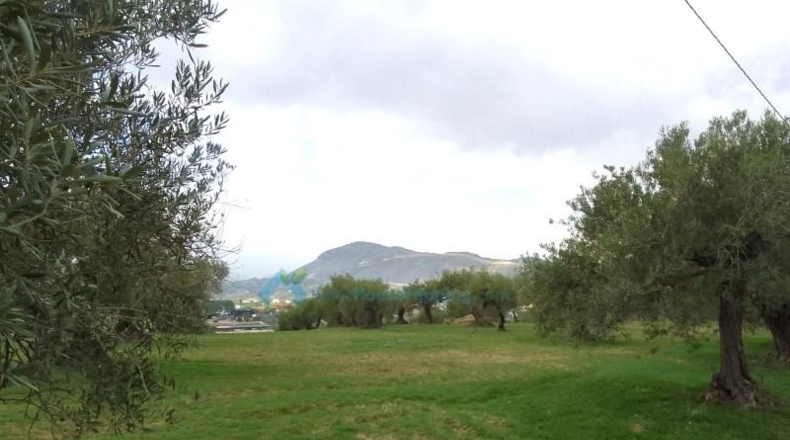Málaga - Alhaurín el Grande - 9000m2