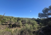 Sòl urbà en venda a la España, el Pilar de la Foradada, ref.: TR403296 foto