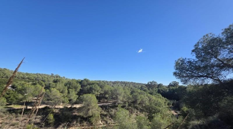 Alicante - Pilar de la Horadada - 804m2