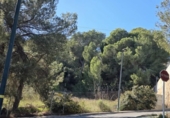 Sòl urbà en venda a la España, el Pilar de la Foradada, ref.: TR403296 foto