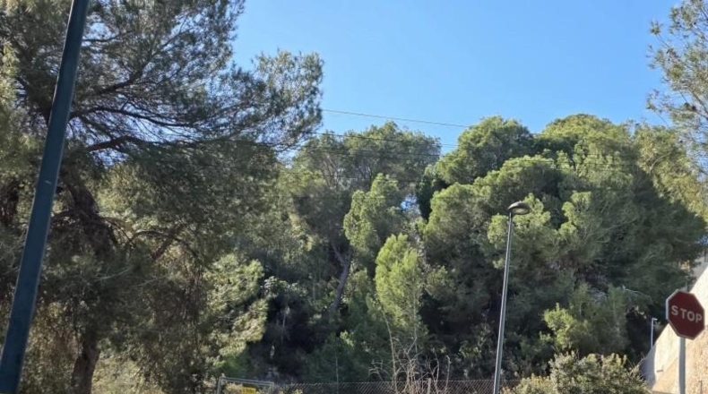 Alicante - Pilar de la Horadada - 804m2