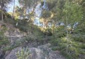 Sòl urbà en venda a la España, el Pilar de la Foradada, ref.: TR403296 foto