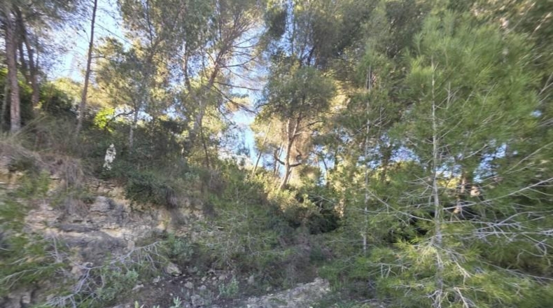 Alicante - Pilar de la Horadada - 804m2