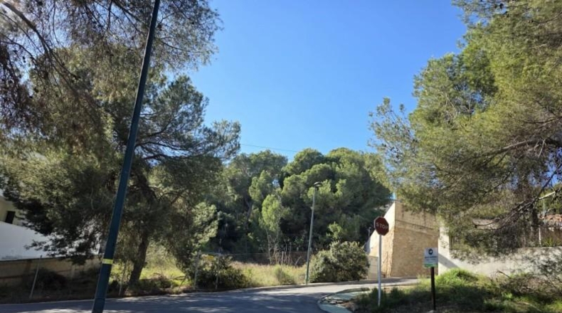 Alicante - Pilar de la Horadada - 804m2