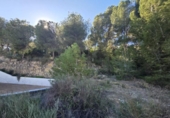 Sòl urbà en venda a la España, el Pilar de la Foradada, ref.: TR403296 foto