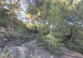 Sòl urbà en venda a la España, el Pilar de la Foradada, ref.: TR403296 foto