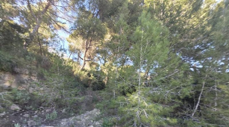 Alicante - Pilar de la Horadada - 804m2