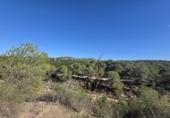 Sòl urbà en venda a la España, el Pilar de la Foradada, ref.: TR403296 foto