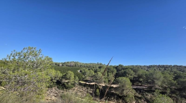 Alicante - Pilar de la Horadada - 804m2