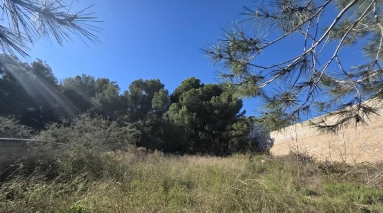 Alicante - Pilar de la Horadada - 804m2