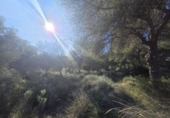 Sòl urbà en venda a la España, el Pilar de la Foradada, ref.: TR403296 foto