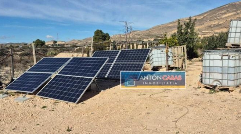 Alicante - Montfort - 25632m2
