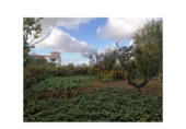 Xalet independent amb terreny en venda a la España, Guía de Isora, ref.: TR231923 foto