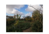 Xalet independent amb terreny en venda a la España, Guía de Isora, ref.: TR231923 foto