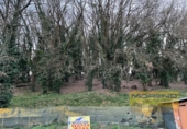 Finca rústica en venda a la España, Vilar de Sarria, ref.: TR302043 foto