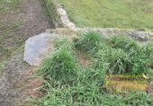Дом с участком на продажу в городе Vilar de Sarria Фото