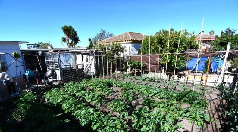 Cádiz - Jerez de la Frontera - 461m2