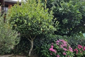 Ponferrada 344&nbsp;m² 