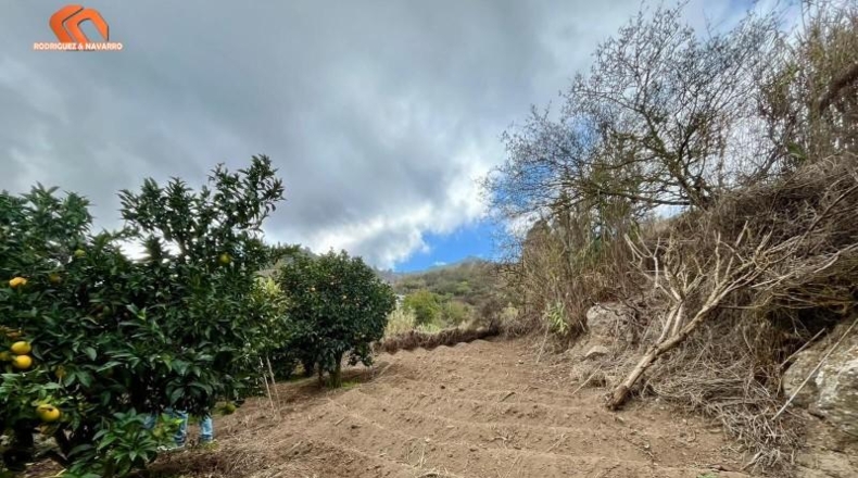 Las Palmas - Teror - 400m2