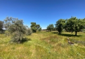 Detached villa with land for sale on España, Illescas, ref: TR403930 photo