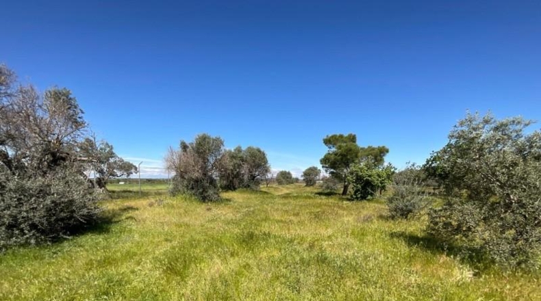 Toledo - Illescas - 8000m2