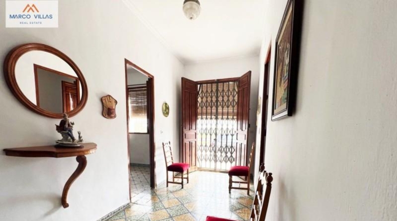 Alicante - Dolores - 11000m2