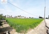 Casa de campo con terreno en venta en la España, Dolores, ref: TR148182 foto