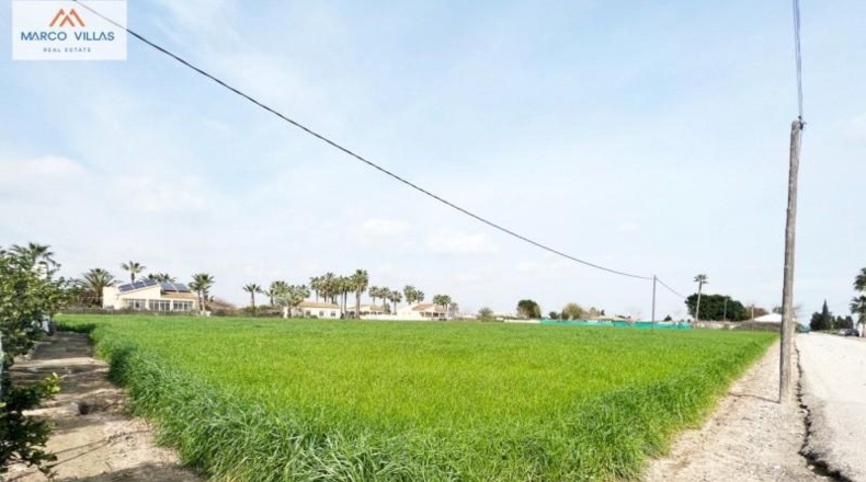 Alicante - Dolores - 11000m2