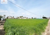 Casa de campo con terreno en venta en la España, Dolores, ref: TR148182 foto