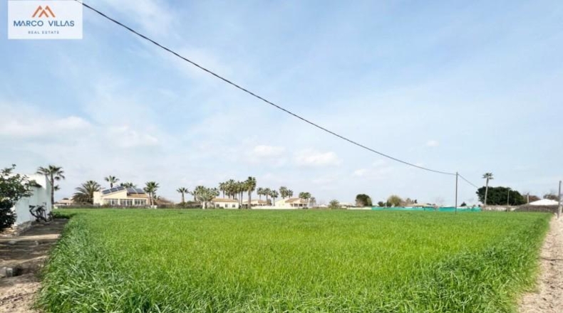 Alicante - Dolores - 11000m2
