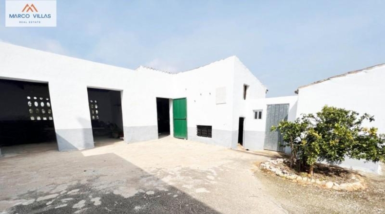 Alicante - Dolores - 11000m2