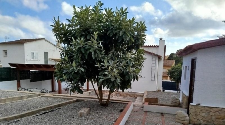 Tarragona - la Pobla de Montornès - 569m2