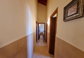 Casa de camp amb terreny en venda a la España, Elx, ref.: TR336472 foto