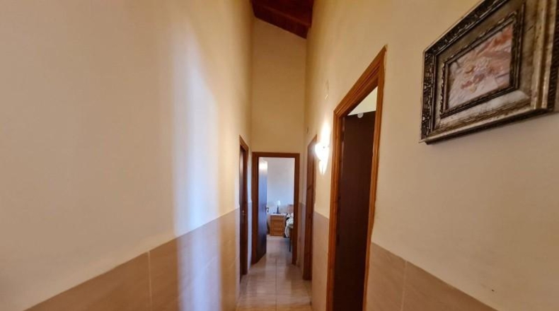 Alicante - Dolores - 3300m2